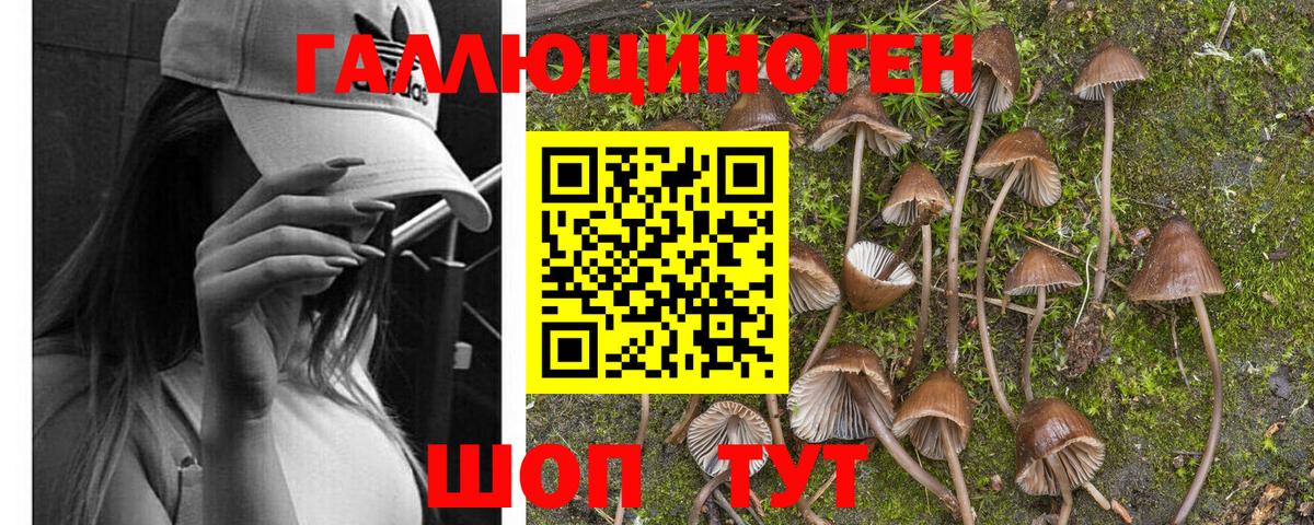 Галлюциногенные грибы прущие грибы Луга