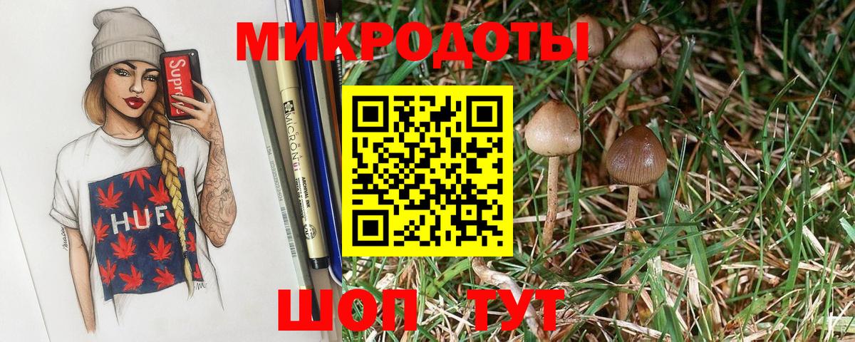 купить наркотики цена  Галлюциногенные грибы Psilocybe  Вход с VPN  Псилоцибиновые грибы прущие грибы  Луга 